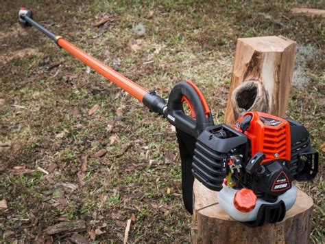 echo in tree saw